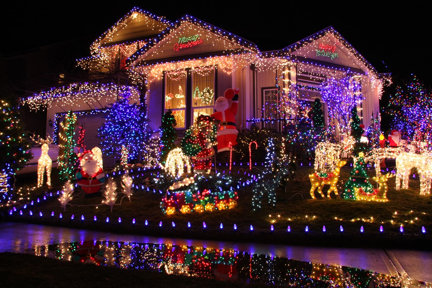 Christmas Light Competition