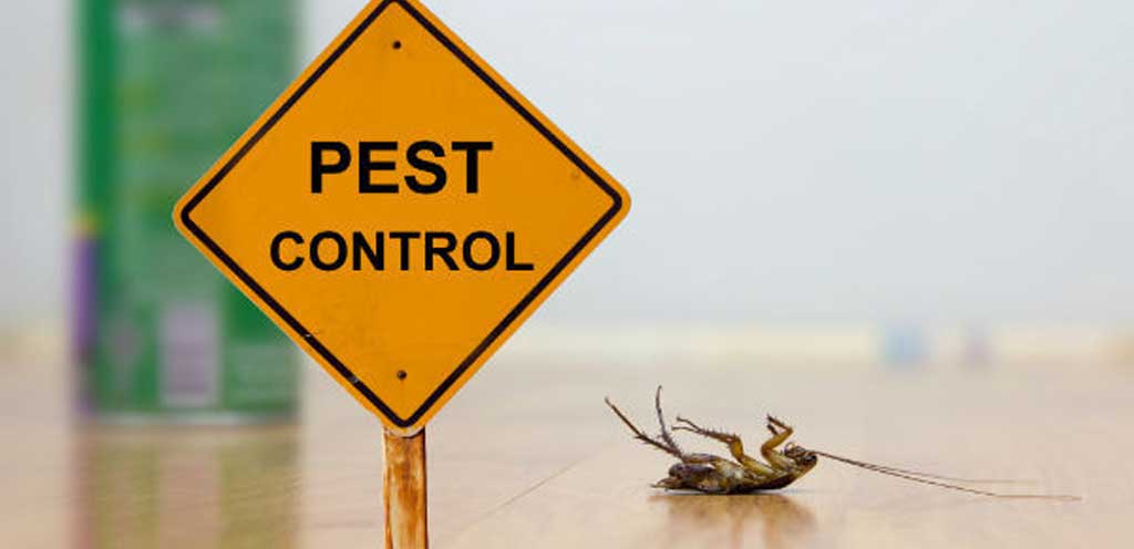 Cincinnati Pest Control